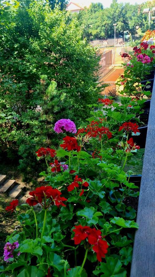 Hostel Cibulka Πράγα Εξωτερικό φωτογραφία
